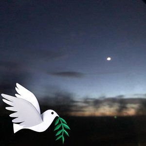 Meet your Posher, Lillian